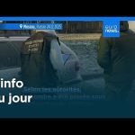 À la Une du 24 décembre 2025 - Édition du Soir