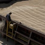 Chronique des matières premières : Céréales, enjeux clés du marché en 2026