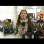 Air France : 15 % des vols annulés en raison de la grève