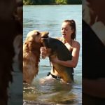 Attraper de gros poissons : un chien hilarant en action !