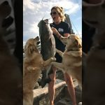 Attraper un gros poisson : un moment hilarant avec mon chien !