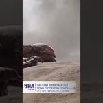 Bombardement aérien saoudien sur les rebelles yéménites