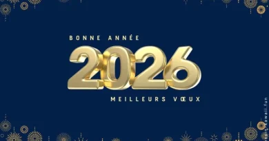 Bonne année 2026 de l'équipe de Lévriers sans Frontières