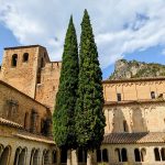 Bonne annee 2026 un dejeuner de soleil