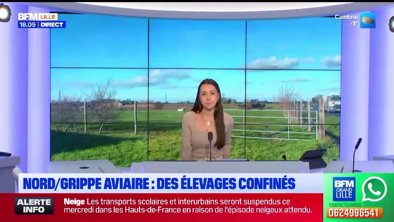 Bonsoir Lille : l’essentiel de l’actualité du mardi 6 janvier 2026