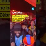 Botswana - RD Congo : Les Léopards dominent les Zèbres