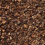 Paris recycle les sapins de Noël en broyat pour améliorer la qualité des sols