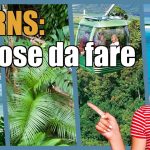 Cairns : 10 incontournables à découvrir absolument