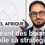 Castel : s'adapter aux évolutions du marché africain