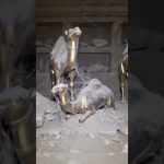 Ce qui se cache dans cette pièce est incroyable !