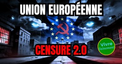 Censure 2.0 : L'Union européenne à l'épreuve