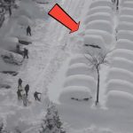 Chaos neigeux en France : les Alpes ensevelissent maisons et voitures