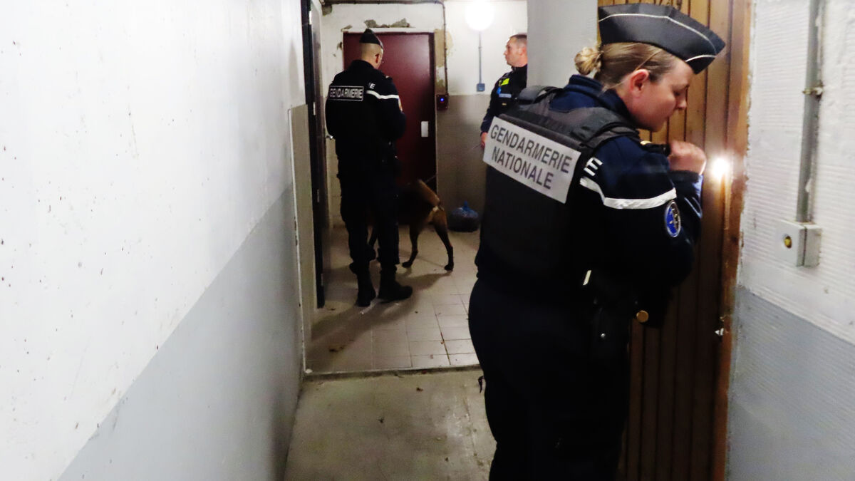 Six mois d’enquête et un coup de filet mettent fin à un trafic de drogue dans l’Oise