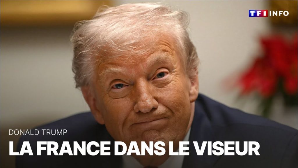 Donald Trump : la France sous son radar｜TF1 INFO