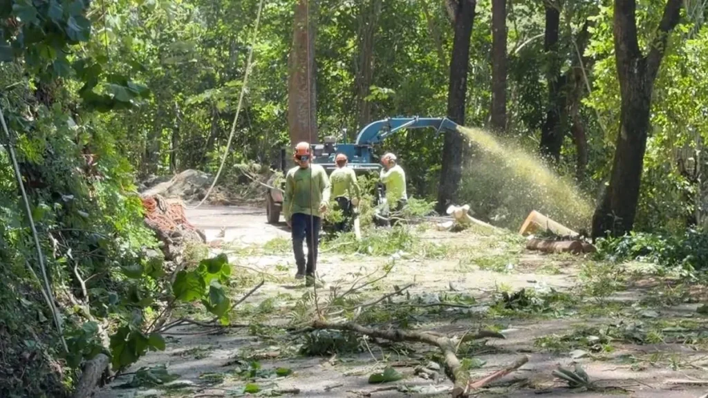 Dorsale d’Afaahiti : travaux sur la route, fermeture jusqu’à fin février