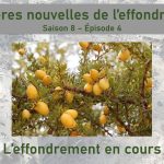 Effondrement : Saison 8, Épisode 4 - Dernières infos
