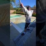 Entretien d'une piscine verdoyante : un plaisir visuel 🍂