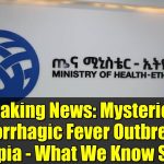 Épidémie mystérieuse de fièvre hémorragique en Éthiopie : infos clés
