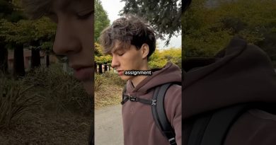 Étudiant vs Vie de Bureau : Le Grand Duel