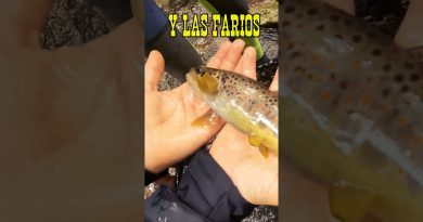 Fermeture Truite 2025 : Émotions au rendez-vous pour les jeunes !