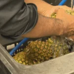 Fiscalité : les entreprises martiniquaises tirent la sonnette d’alarme