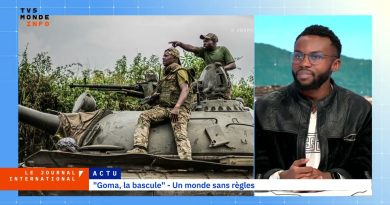 Goma en images : récits de photographes engagés