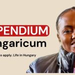 Guide des bourses Stipendium Hungaricum : candidatures et opportunités en Hongrie