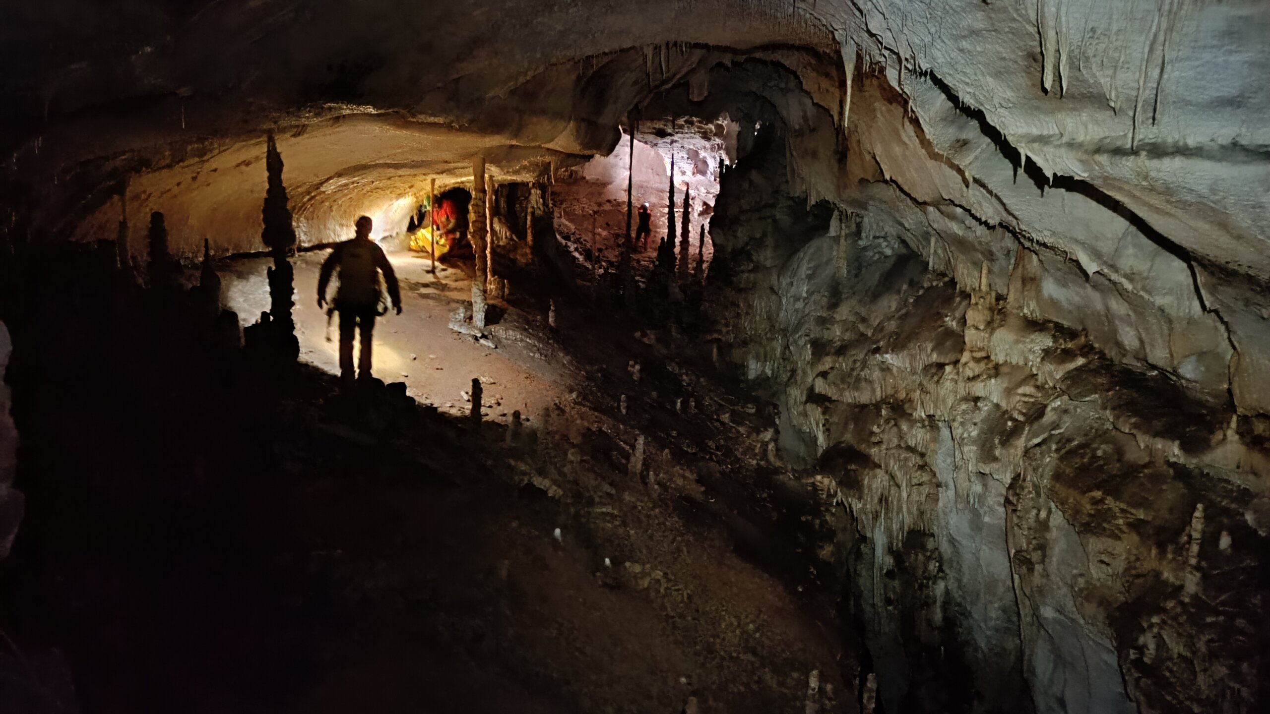 Extension du réseau de Réserves Naturelles Régionales pour les cavités à chiroptères par la Cpepesc