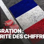 Immigration : décryptage des chiffres révélateurs｜TF1 INFO