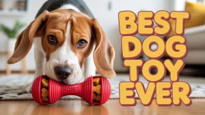 KONG Classic : Jouet pour chien résistant avec distributeur de friandises