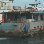 La pêche hauturière, un secteur d'avenir sous tension