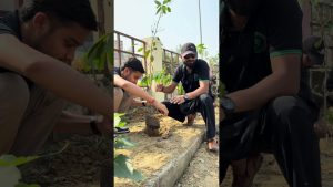 L'air pur : un droit fondamental pour tous