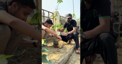 L'air pur : un droit fondamental pour tous