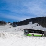 L'association Bus Alpin fête ses 20 ans et transporte toujours plus de passagers | RTS