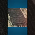 Le Venezuela renforce sa défense militaire face à l'agression américaine