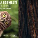 Le WWF alerte : les lynx et flamants roses se portent mieux en France, d'autres espèces menacées