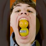 Les Records du Monde les Plus Incroyables Jamais Établis