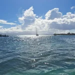 Les océans enregistrent une absorption de chaleur inédite en 2025 selon les scientifiques