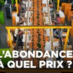 Les secrets de l'industrie alimentaire : un documentaire ARTE