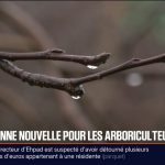 Baisse des températures : une aubaine pour les arboriculteurs face aux risques climatiques