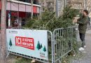 La Métropole Aix-Marseille-Provence recycle les sapins de Noël pour une seconde vie