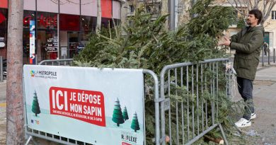 La Métropole Aix-Marseille-Provence recycle les sapins de Noël pour une seconde vie