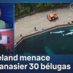 Marineland sollicite des fonds d'urgence d'Ottawa