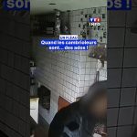 Mineurs et cambriolages : enquête de TF1 INFO