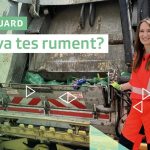 Minisguard : Nua, où sont tes ruments ?