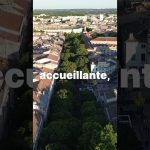 Nîmes vous adresse ses vœux les plus chaleureux !