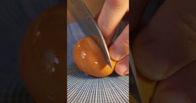 Œufs marinés : l'ingrédient secret des Ramen !