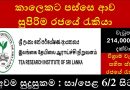 Offres d'emploi 2025 à l'Institut de recherche sur le thé