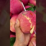 Outils de découpe de fruits : rapide et amusant !