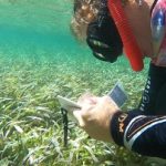 Un nouveau laboratoire de recherche dédié aux coraux, voit le jour en Martinique